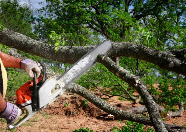 Soil Testing and Treatment in Wallenpaupack Lake Estates, PA